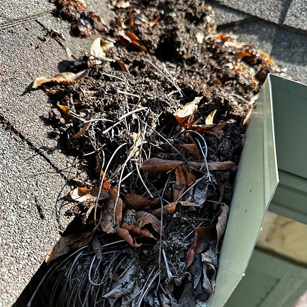 gutters before cleaning
