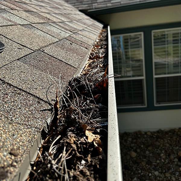 gutter cleaning before