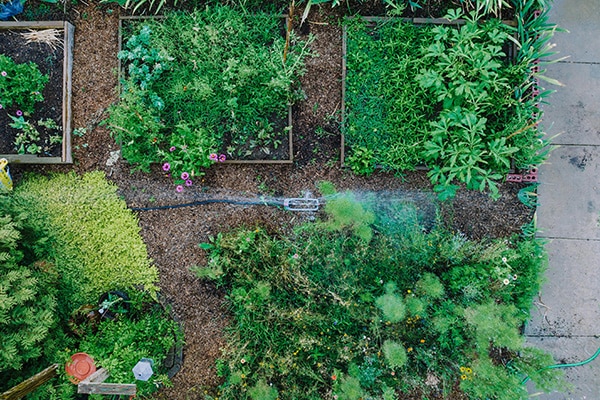 sprinkler system top down view