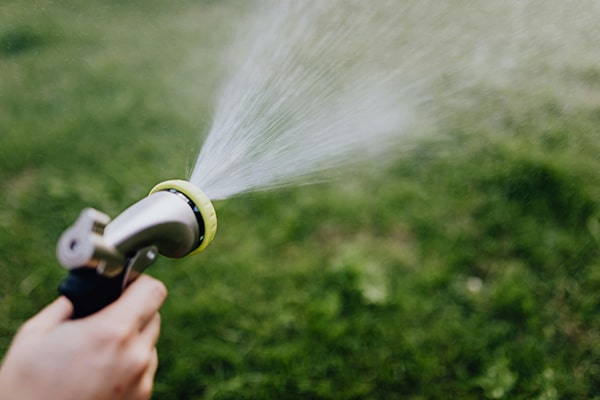 someone watering with a hose