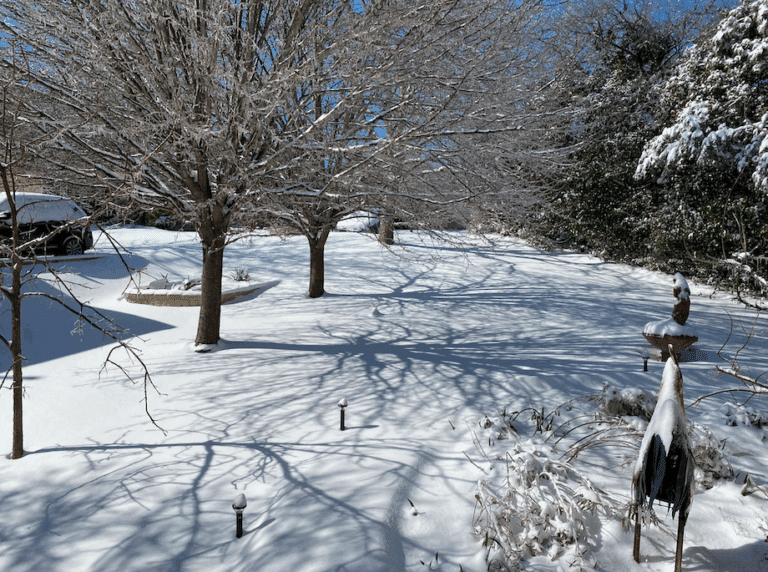 Snowpocalypse Central Texas